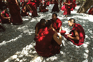Debatterende monniken (Sera Monastery, Lhasa)